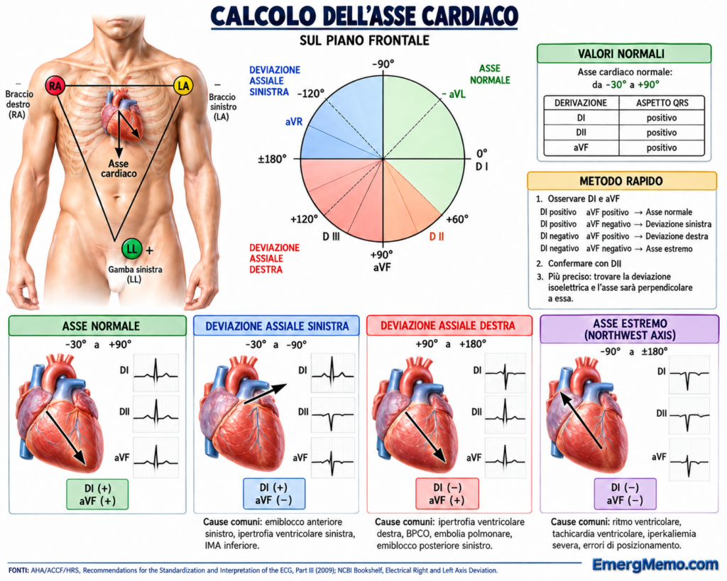 Infografica illustrata sul calcolo dell’asse cardiaco e le deviazioni assiali.