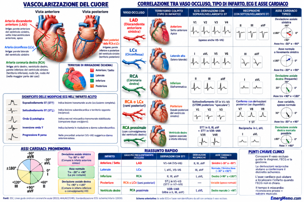 Vascolarizzazione coronarica, territori dell’infarto, derivazioni ECG e asse cardiaco.