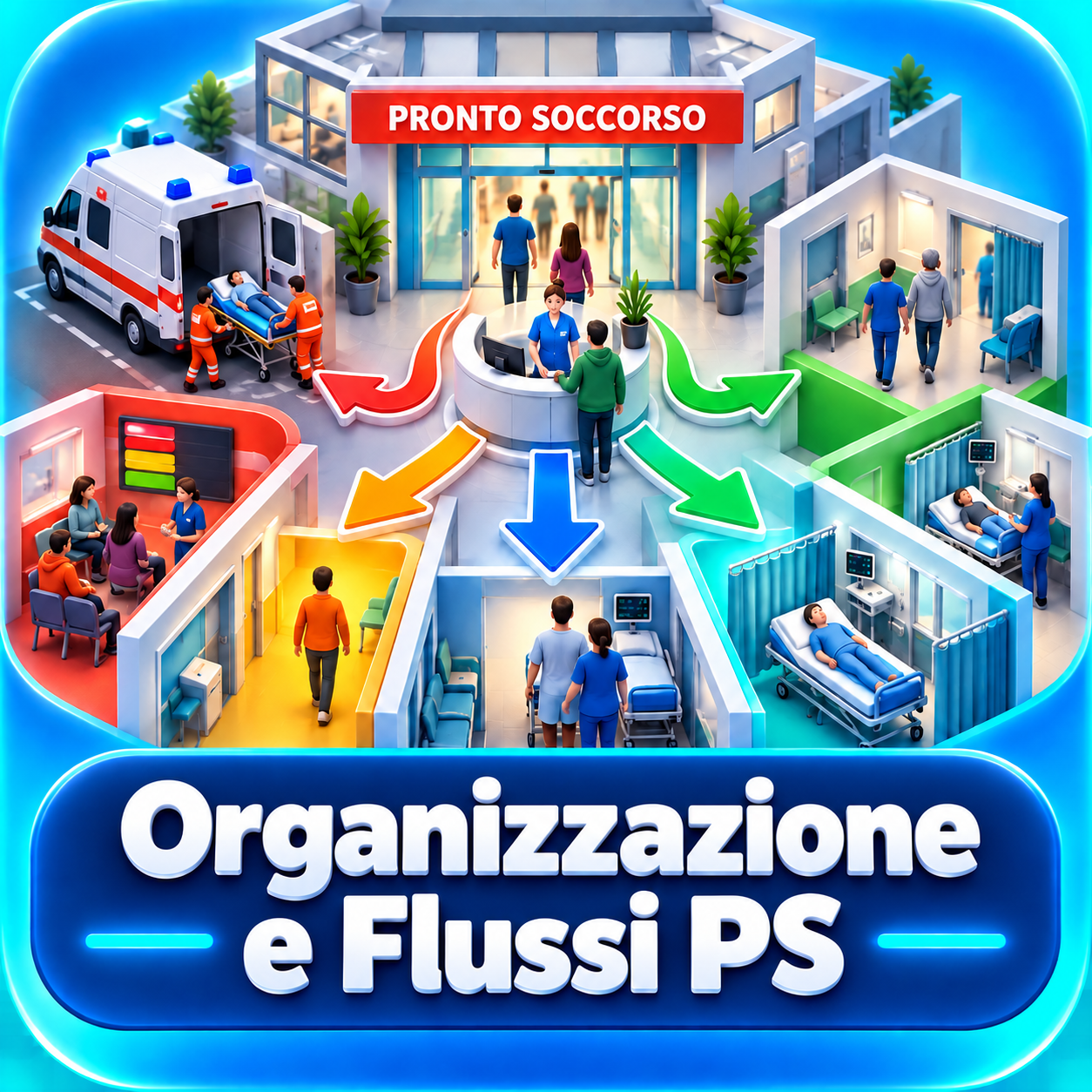 Emergency Department Organisation and Flow