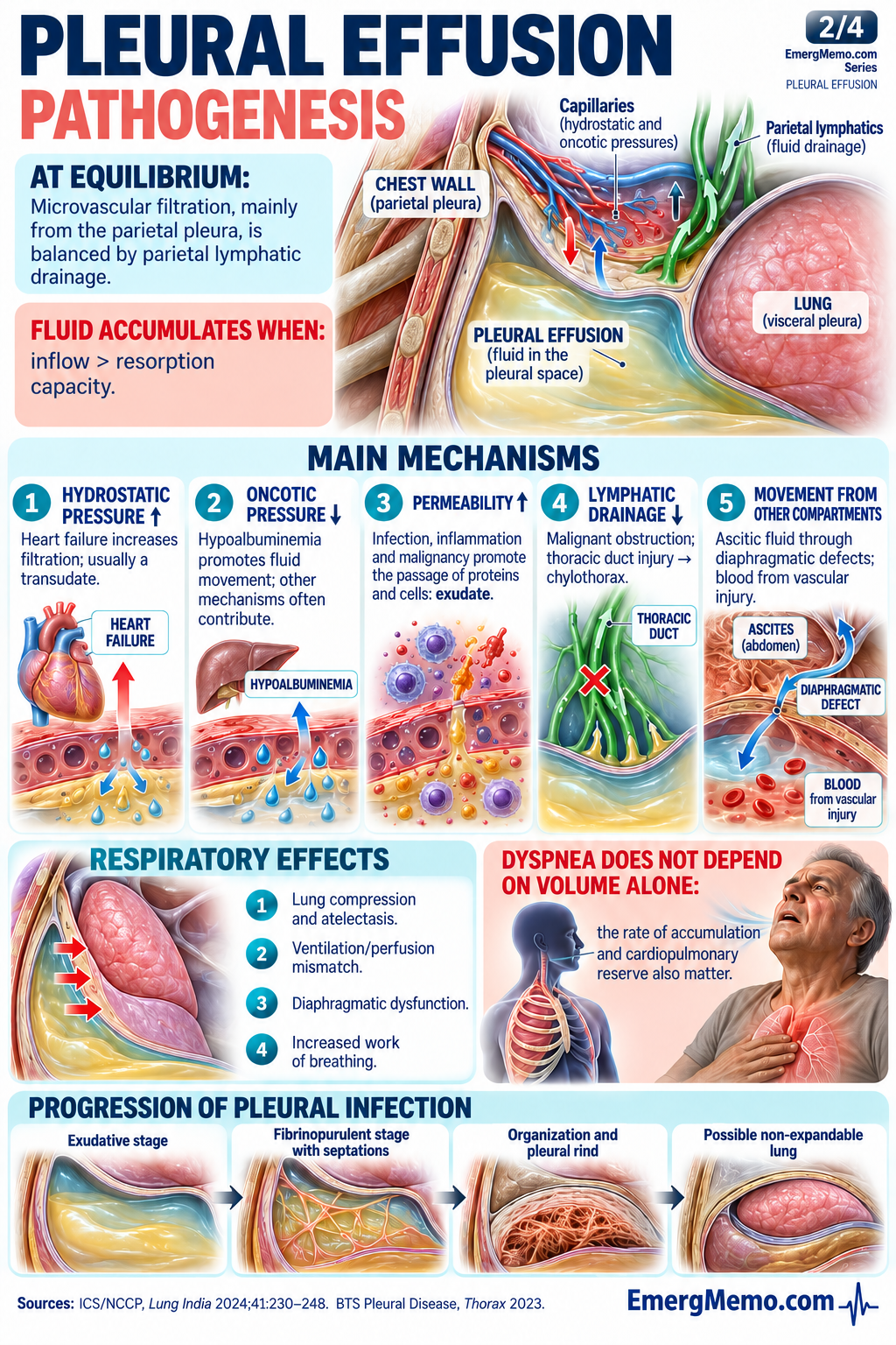 Pleural effusion — Pathogenesis